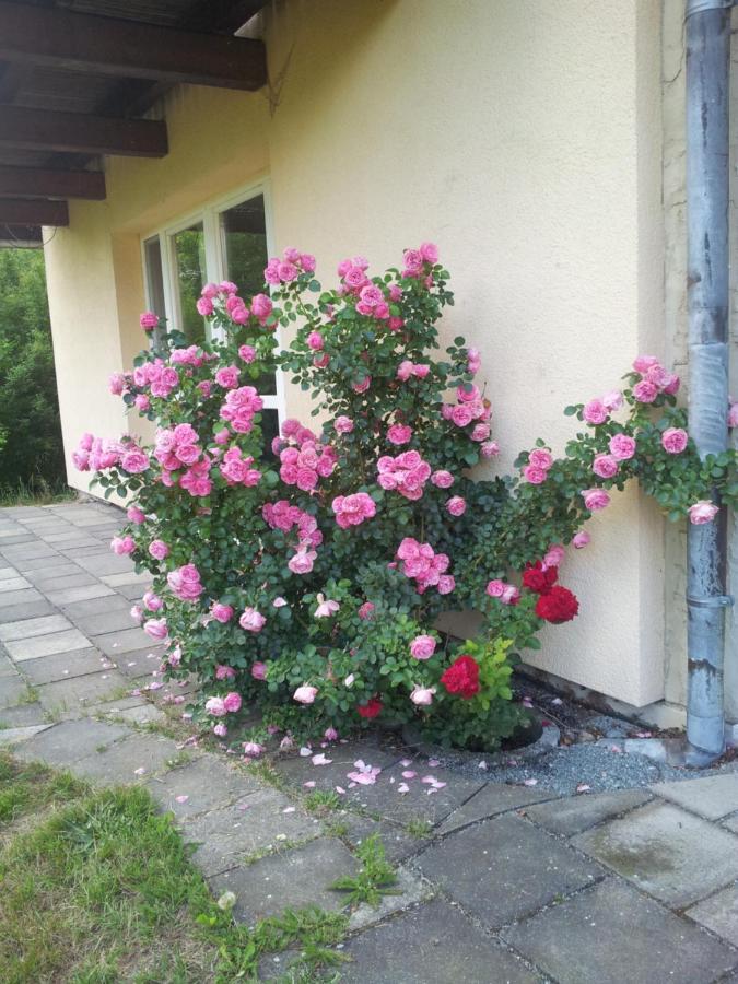 Ferienwohnung Am Spreeradweg Neusalza-Spremberg Esterno foto